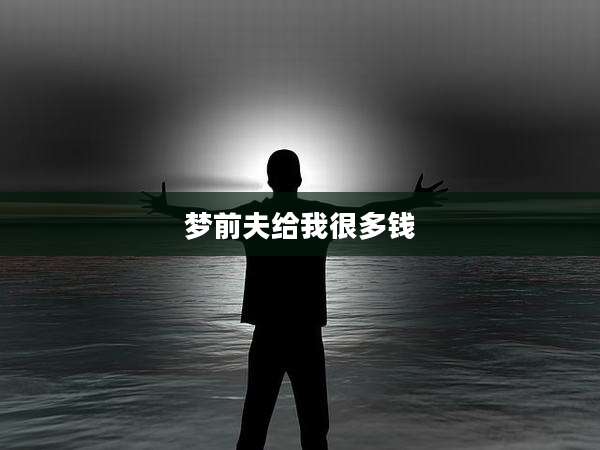 梦前夫给我很多钱