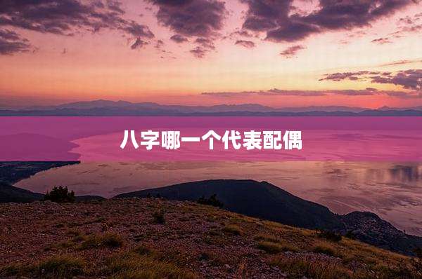 八字哪一个代表配偶