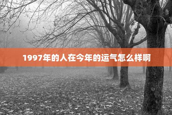 1997年的人在今年的运气怎么样啊