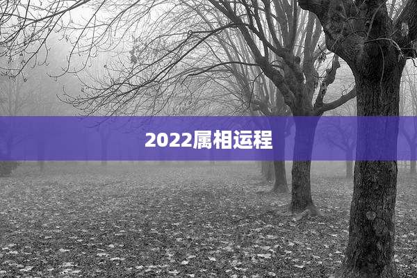 2022属相运程