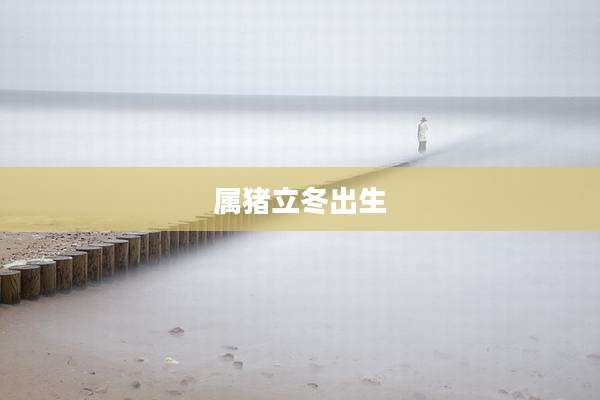 属猪立冬出生