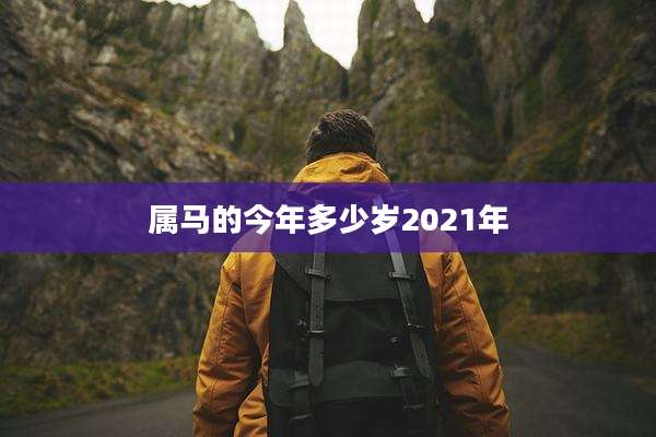 属马的今年多少岁2021年