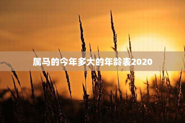 属马的今年多大的年龄表2020