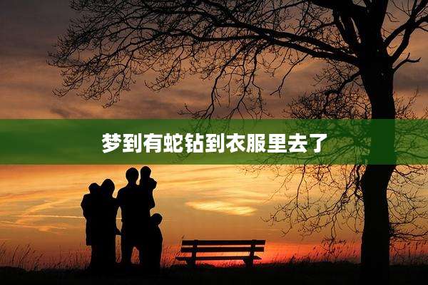 梦到有蛇钻到衣服里去了
