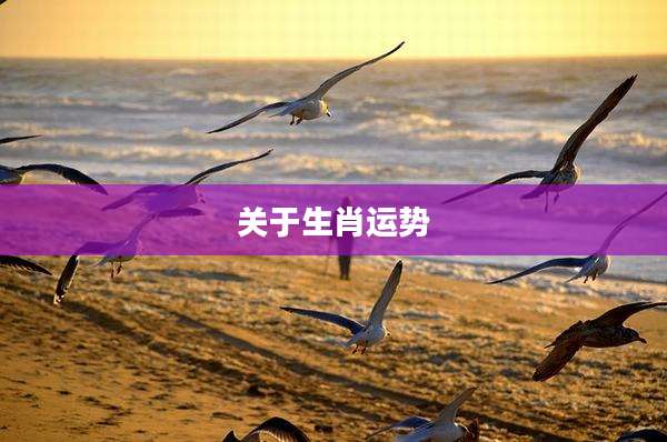 关于生肖运势