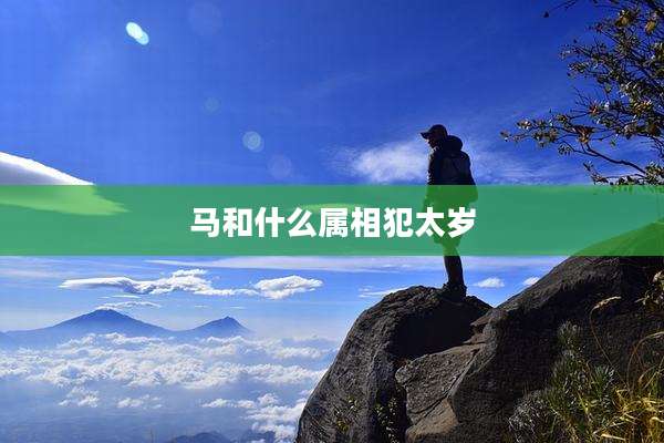 马和什么属相犯太岁