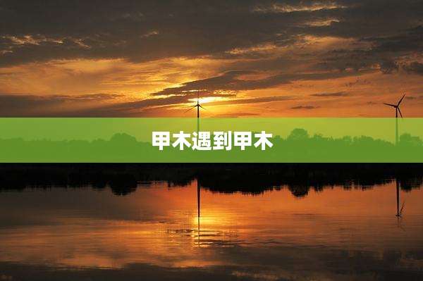 甲木遇到甲木