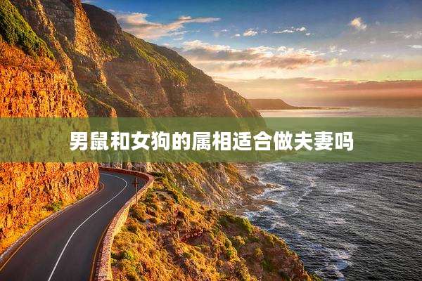 男鼠和女狗的属相适合做夫妻吗