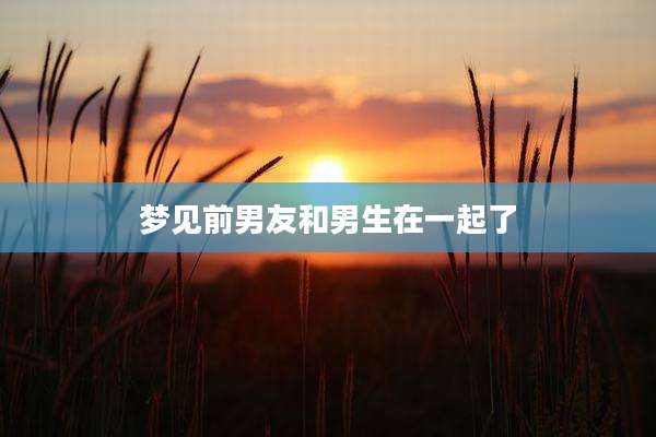 梦见前男友和男生在一起了