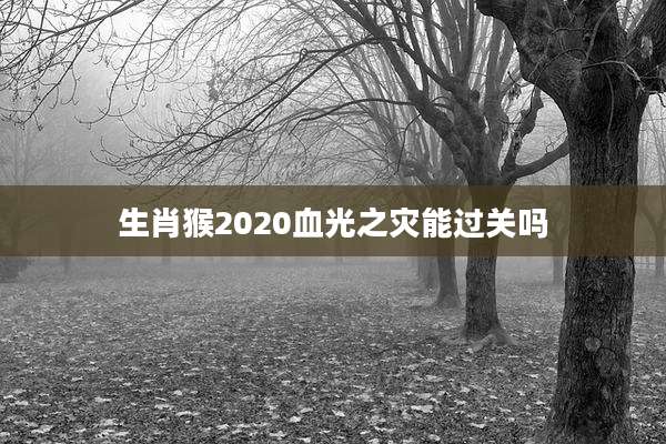 生肖猴2020血光之灾能过关吗