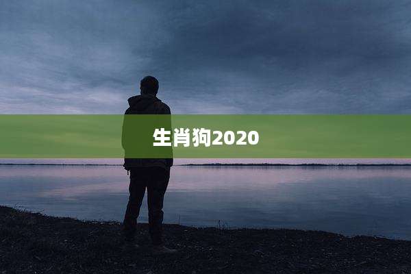 生肖狗2020