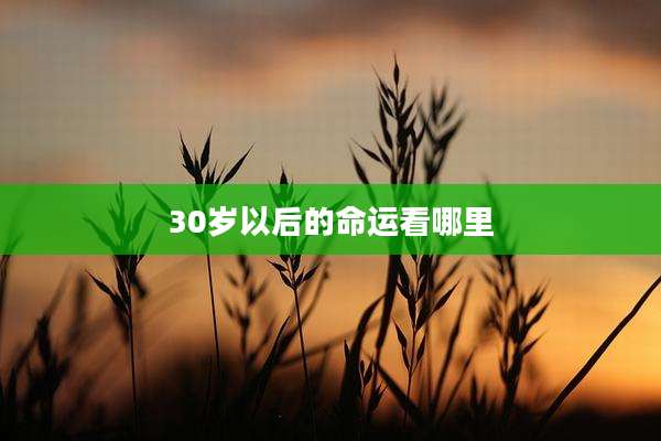 30岁以后的命运看哪里