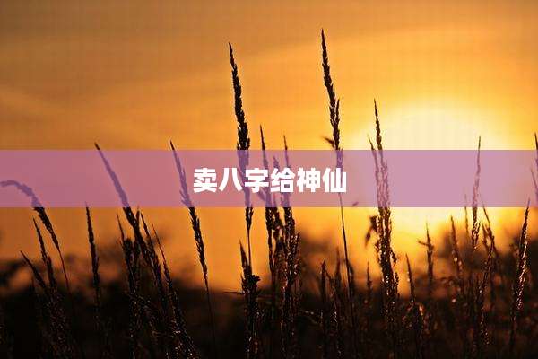 卖八字给神仙