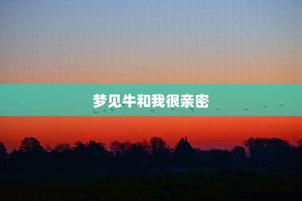 梦见牛和我很亲密