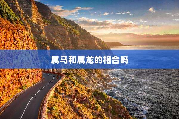 属马和属龙的相合吗