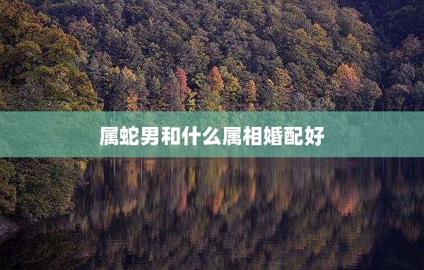 属蛇男和什么属相婚配好
