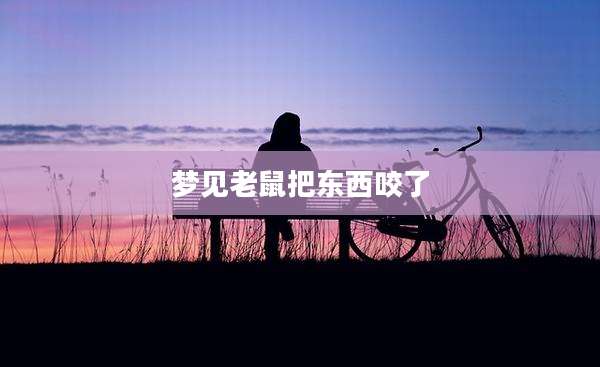 梦见老鼠把东西咬了
