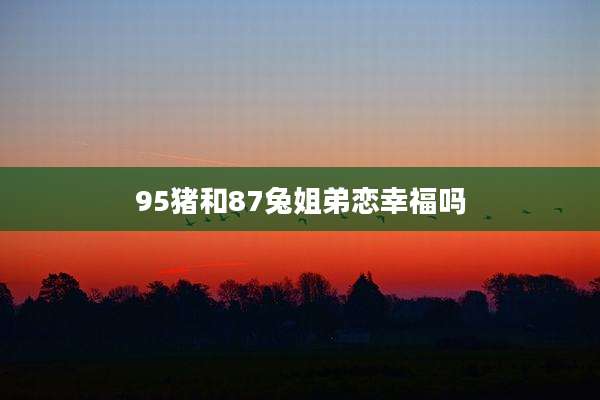 95猪和87兔姐弟恋幸福吗