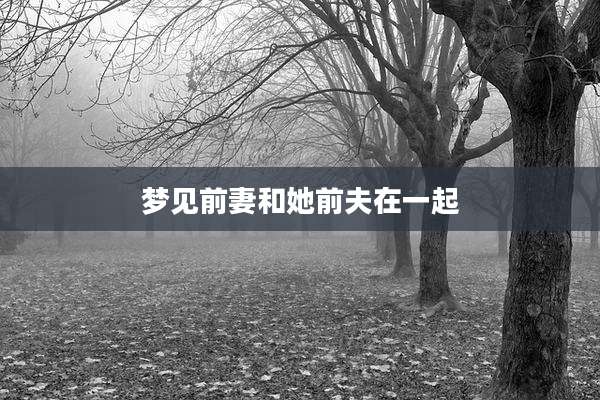 梦见前妻和她前夫在一起