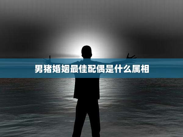 男猪婚姻最佳配偶是什么属相