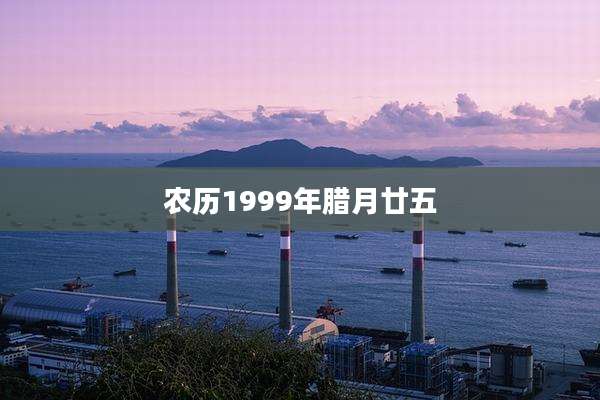 农历1999年腊月廿五
