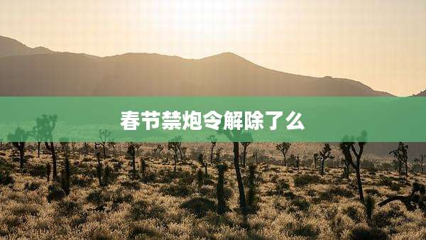 春节禁炮令解除了么