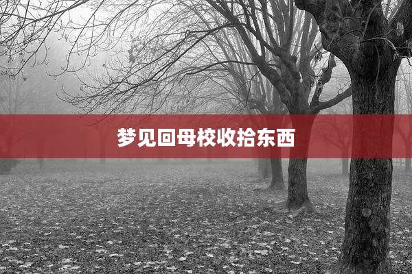 梦见回母校收拾东西