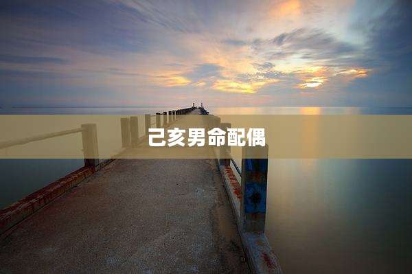 己亥男命配偶