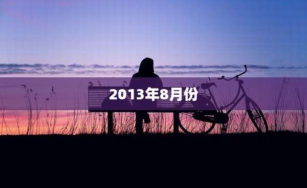 2013年8月份