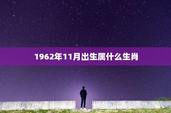 1962年11月出生属什么生肖