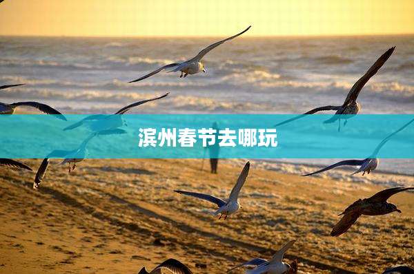 滨州春节去哪玩
