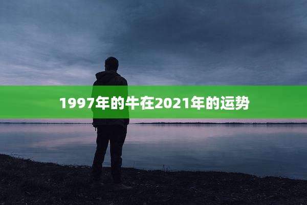 1997年的牛在2021年的运势