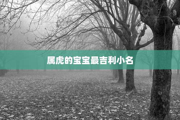 属虎的宝宝最吉利小名