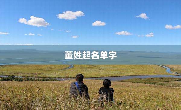 董姓起名单字