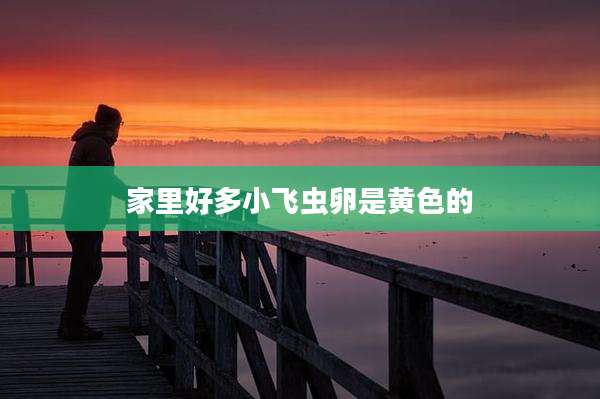 家里好多小飞虫卵是黄色的