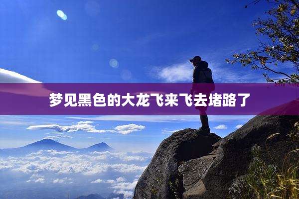 梦见黑色的大龙飞来飞去堵路了