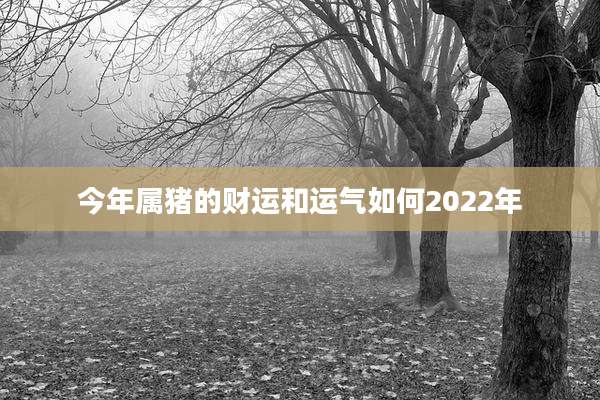 今年属猪的财运和运气如何2022年