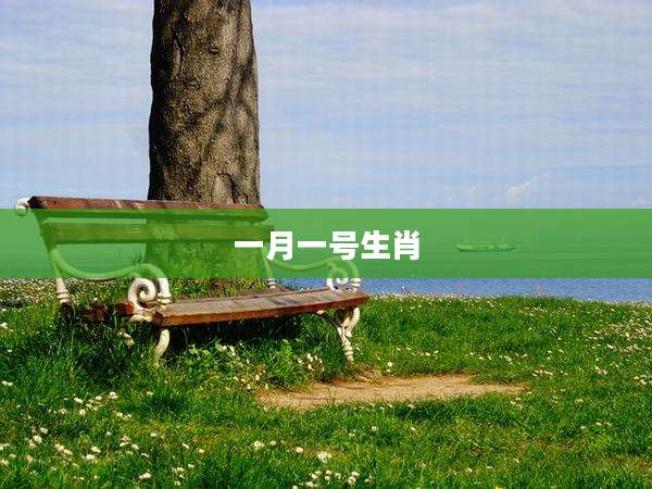 一月一号生肖
