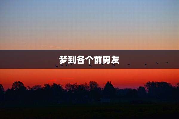 梦到各个前男友