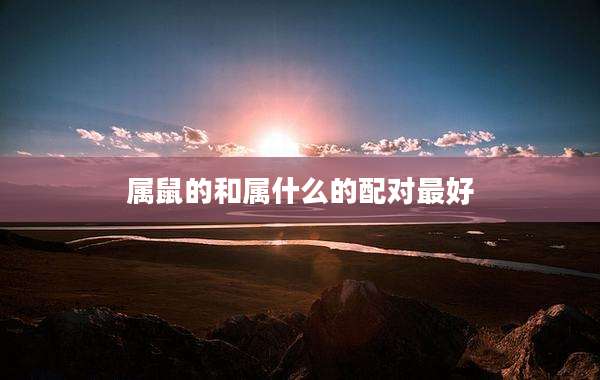 属鼠的和属什么的配对最好