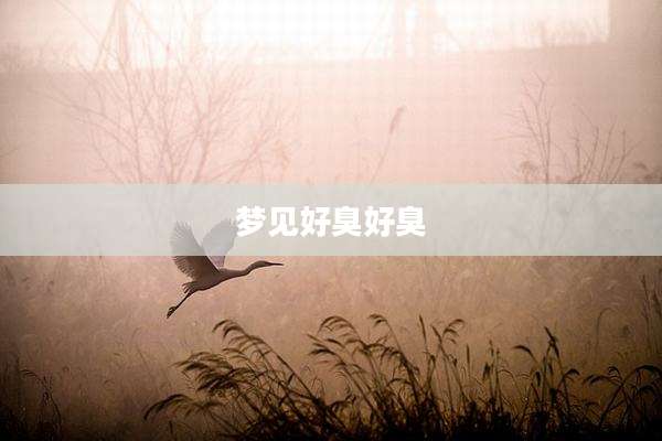 梦见好臭好臭