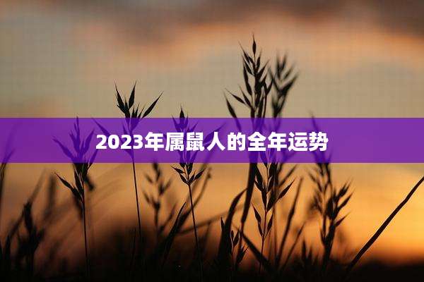 2023年属鼠人的全年运势
