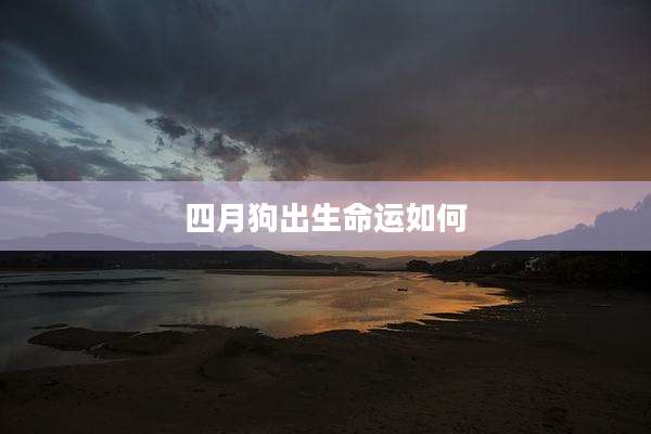 四月狗出生命运如何