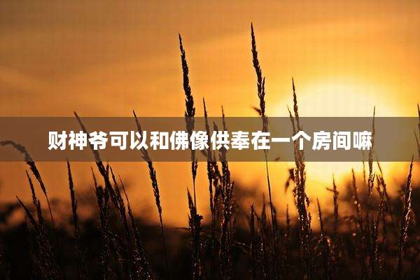 财神爷可以和佛像供奉在一个房间嘛
