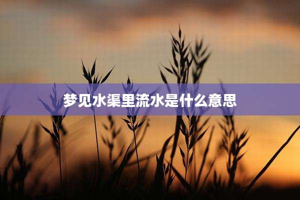 梦见水渠里流水是什么意思