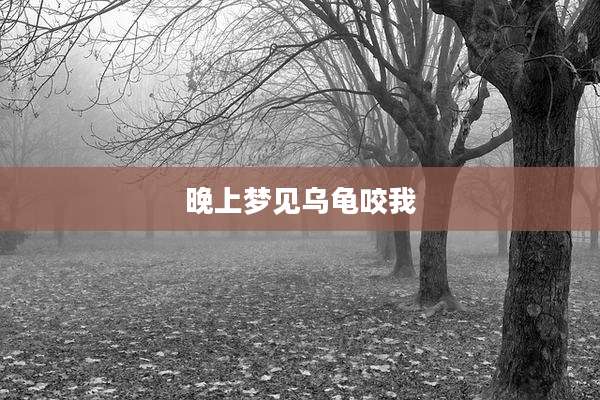 晚上梦见乌龟咬我