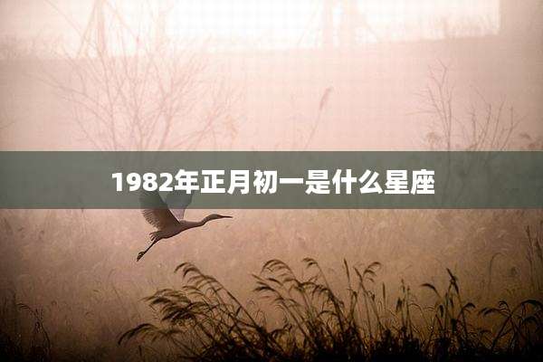 1982年正月初一是什么星座