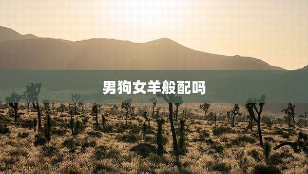 男狗女羊般配吗