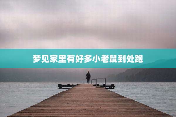 梦见家里有好多小老鼠到处跑