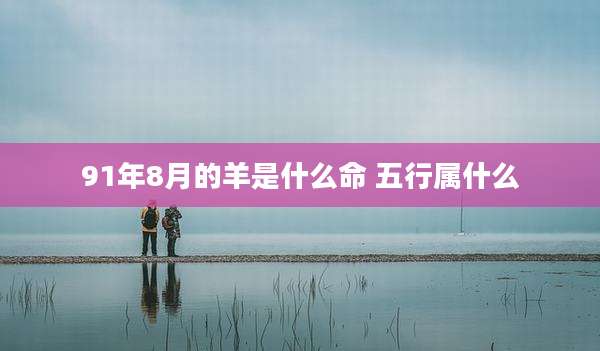 91年8月的羊是什么命 五行属什么